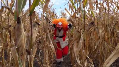 Clown!