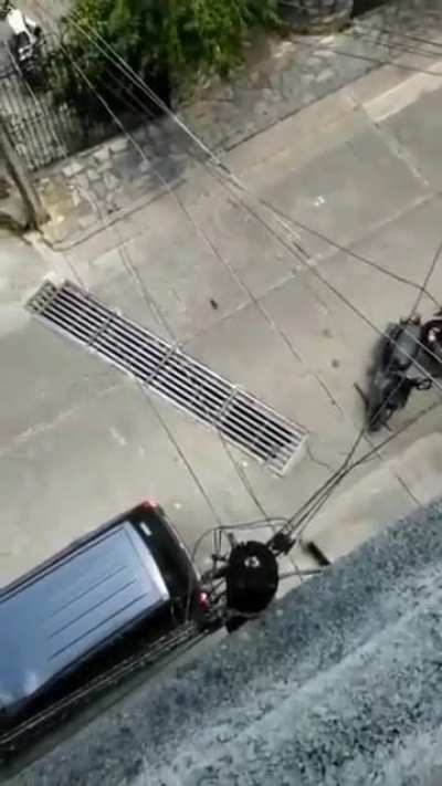 my rat people need me