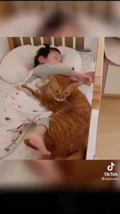 Friends for life