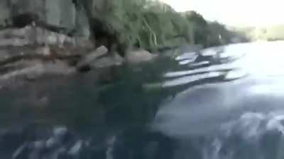 Cliff jumping