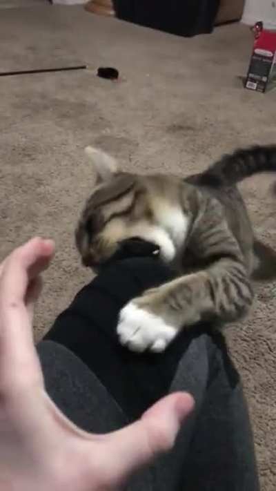 Angry lunge