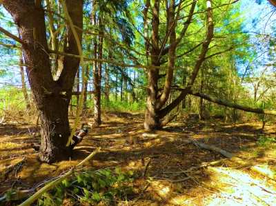 Can you spot me in these nature scenes?