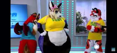 Brazilian news reporter talks about furries