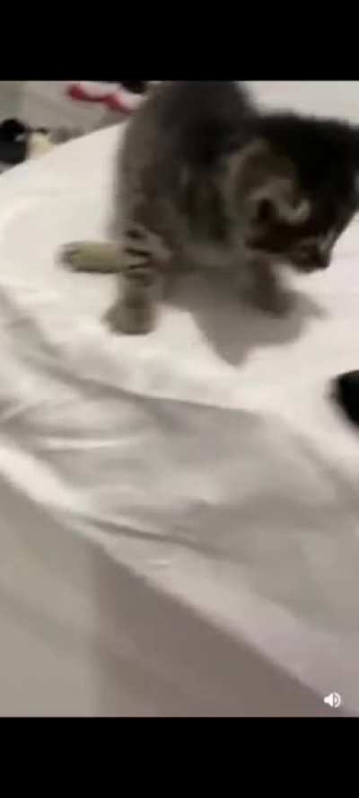 Blame the crop nazis for this Perfect Pussy bieng posted twice