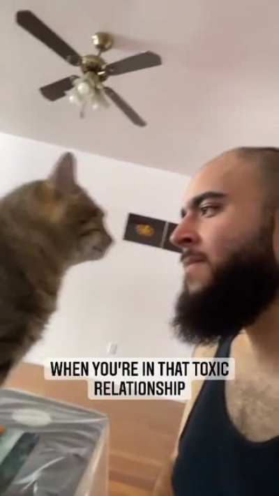 Cat: I love you but I hate you