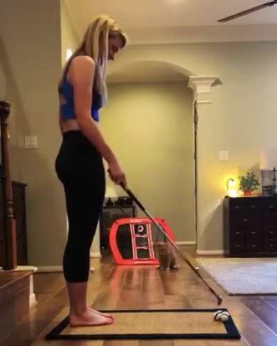 Feline goalkeeper