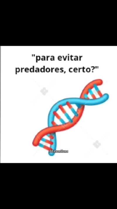 evolussão 