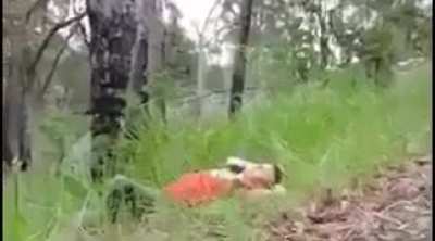 That zoom at the end