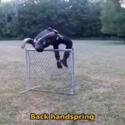 Jumping skills