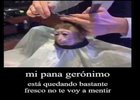 Nuestros panas se unieron