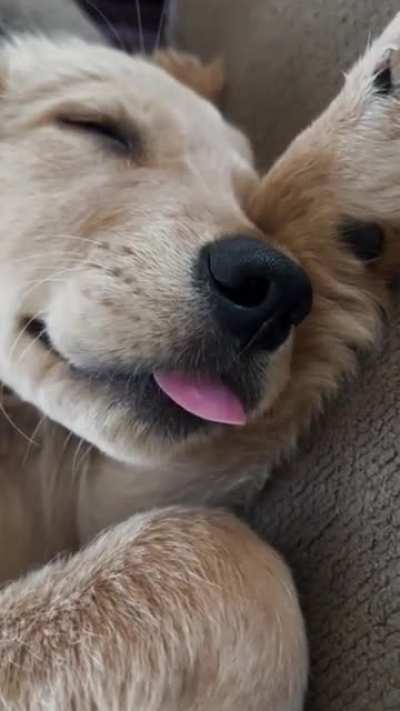 Is this normal? It’s cute but is she biting her tongue? 🤣