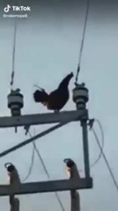 KFC on demand
