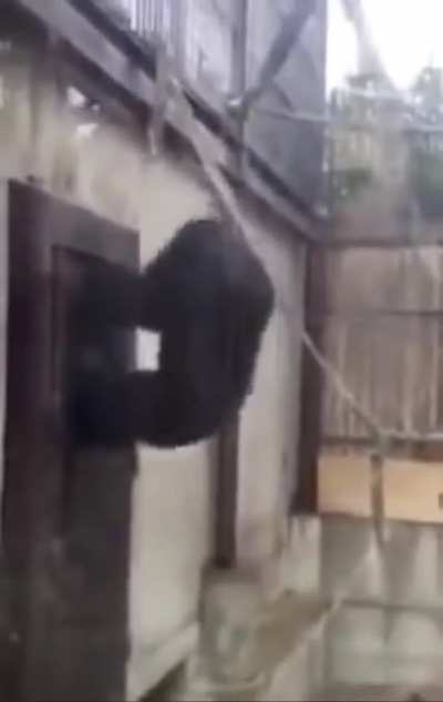 Cartis bois tryna get into the studio so they can leak his shit