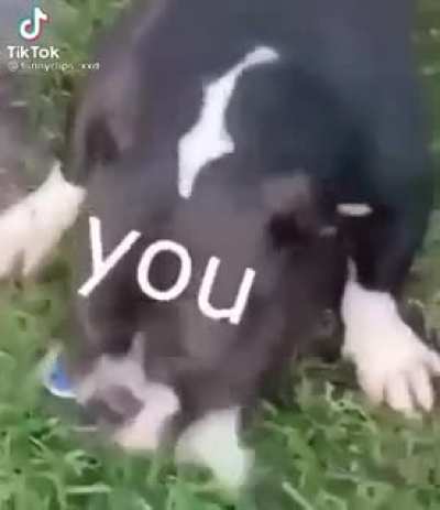 Rule