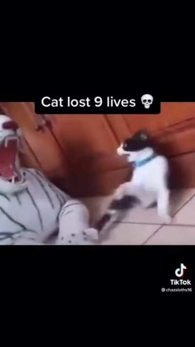 🤣
