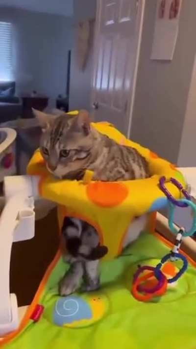 I am a baby too …