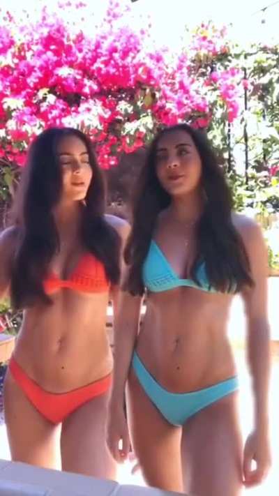 Twins