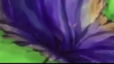 MIKO NOO-