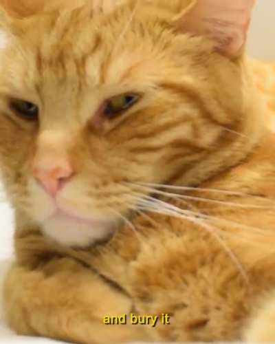 Not impressed…