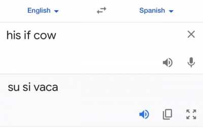 Susi vaca