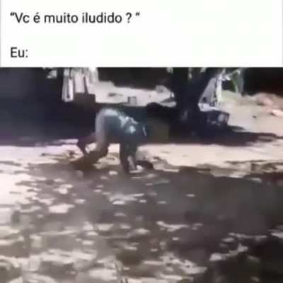 Gilberto-san, o demônio da obra oculta da Vila da Folha e galo-san, o galeto mestre de frangojutsu.