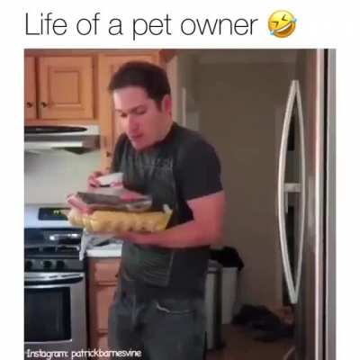 Life of pet owner
