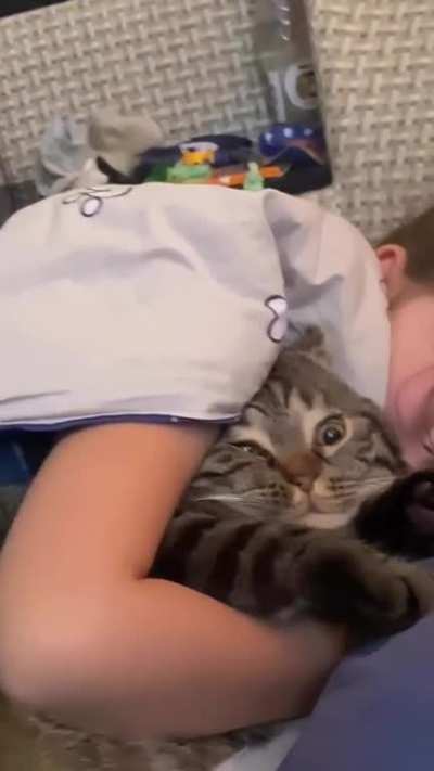 HALP