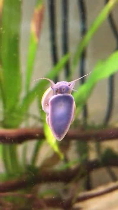 Omnomnomnomnomnom