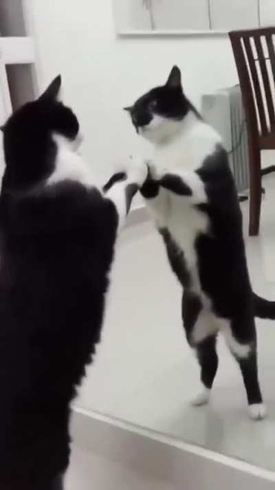 Wait til the end