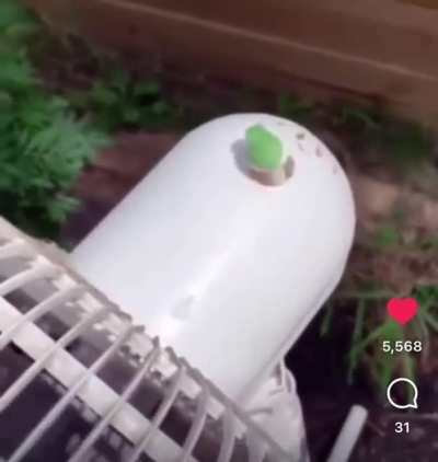 Spin