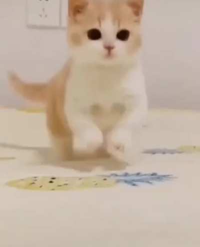 Hello!