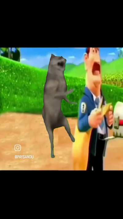E o Paysandu q lançou essa ao vivo 