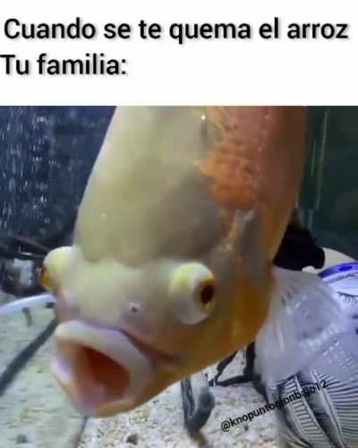 Hij0delagranpvtä