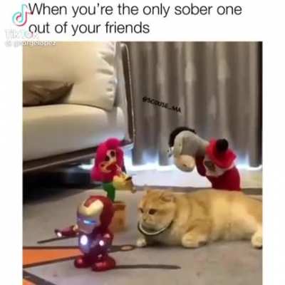 When you're the only sober one