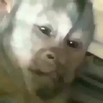 Ah
