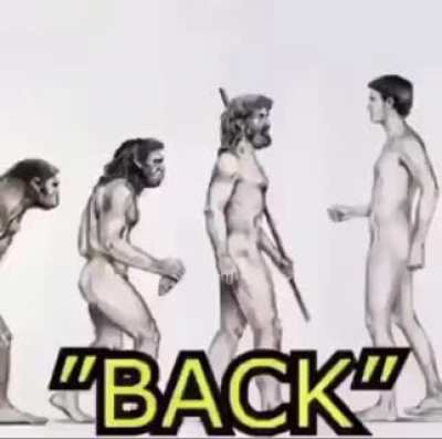 Monke