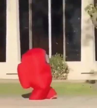 SUS