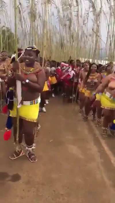 Tribal
