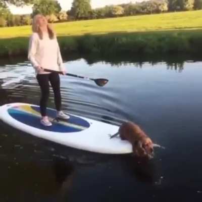 i hep hooman