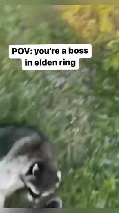 Um POV real