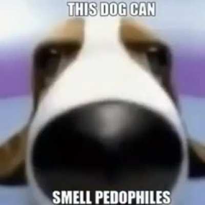 This dog