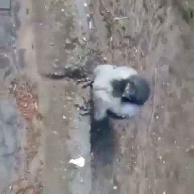 Hi.