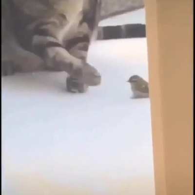 oh shit