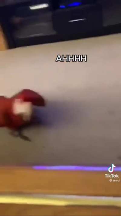 WHERE DID MOM GO?!?!