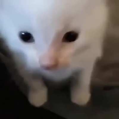 Hi Shinji!