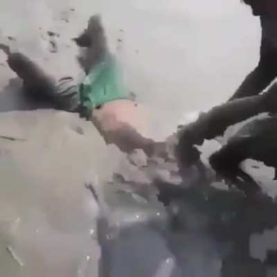 Diving deep into the shallow mud.