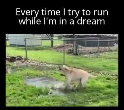 C'mon legs... do your thing!