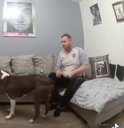 Dog passes away besides owner