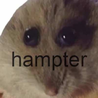 Hampter