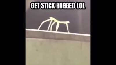 big bruh moment